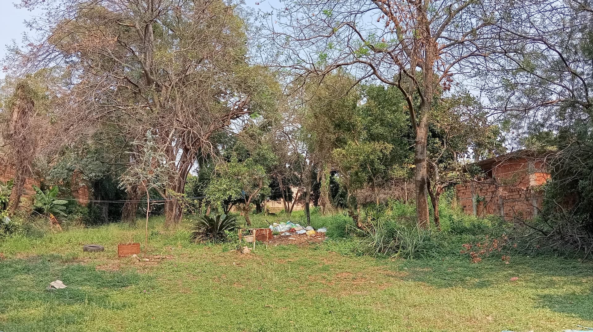Terreno en esquina premium de 2.528 m² sobre Avelino, foto 5