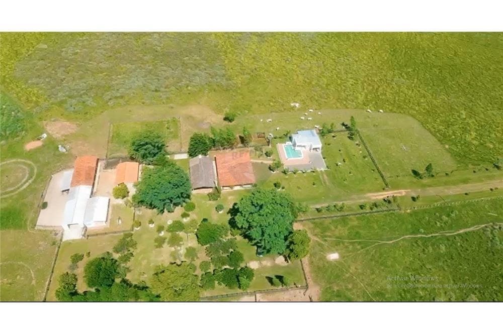Estancia ganadera en isla pucu cordillera, foto 4