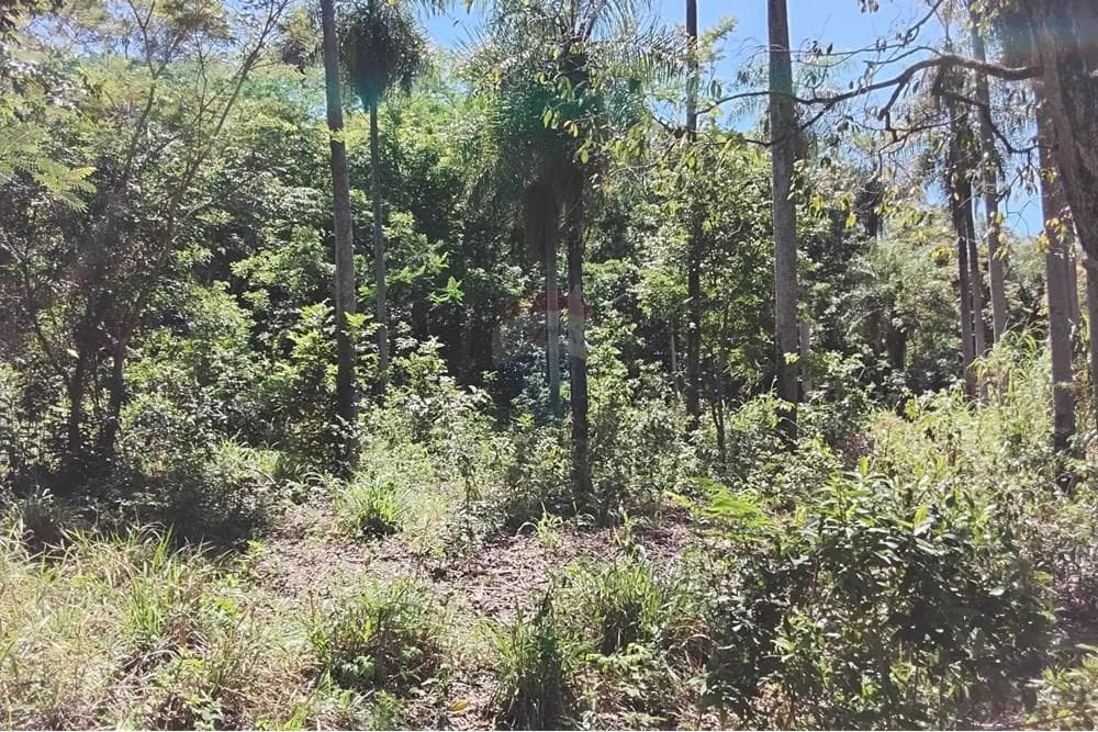 Terreno - Venta - Paraguay Cordillera Atyra, foto 3