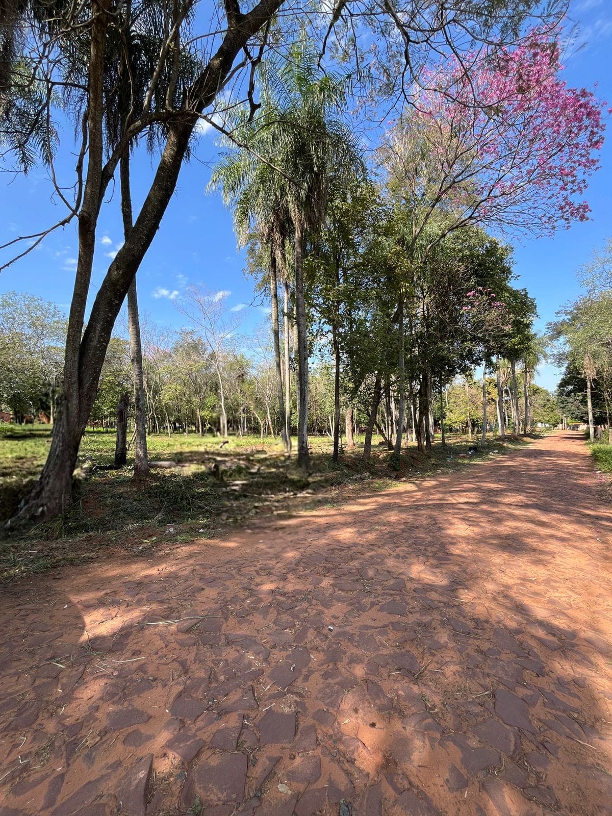 Terreno amplio en Itauguá, foto 5
