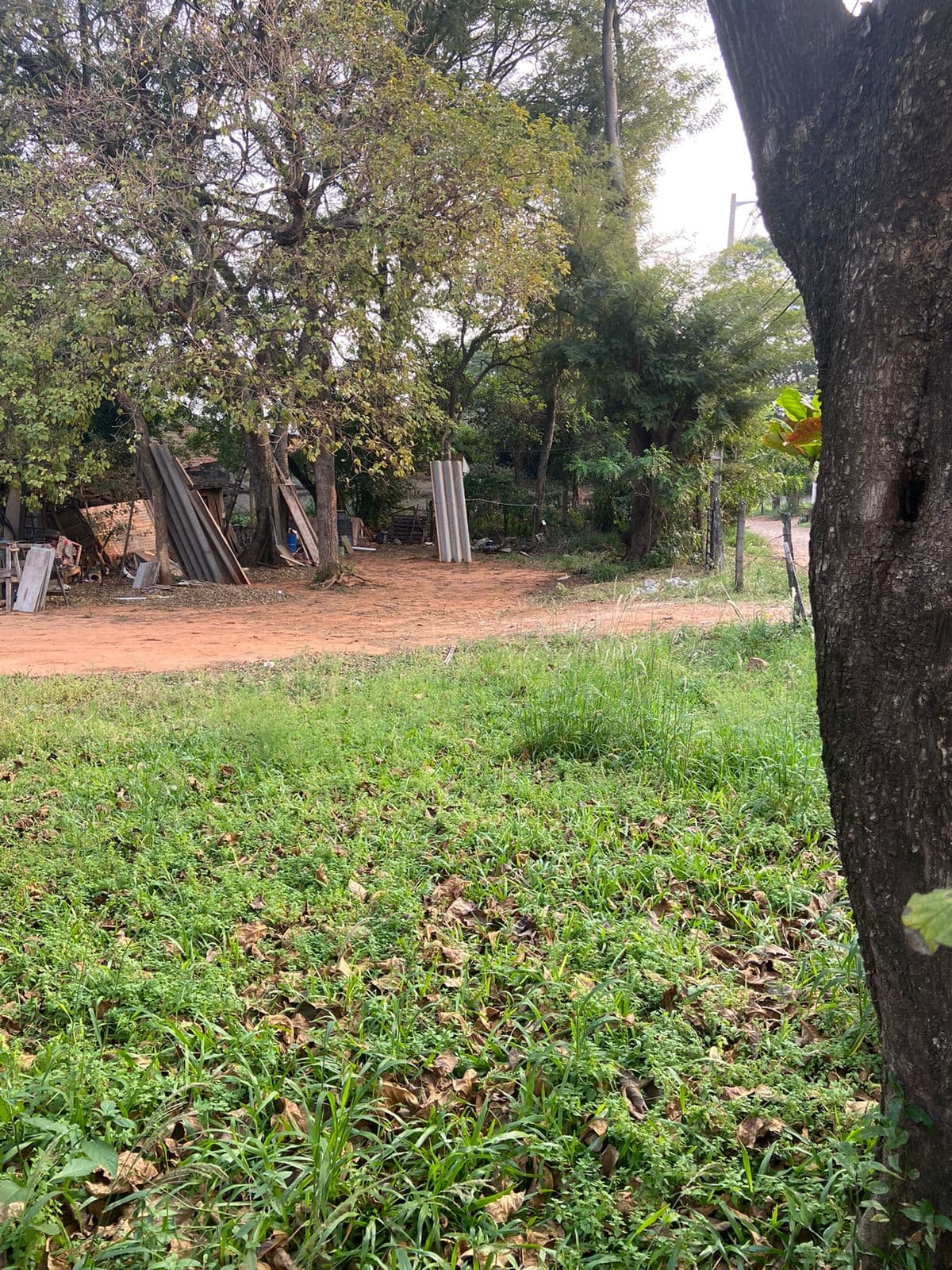 2 terrenos en mra!, foto 3