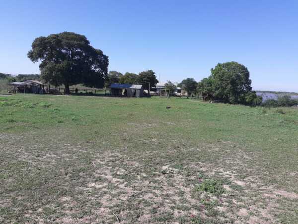 estancia de 845 Has con pastura para engorde de animales,en San Pedro, foto 1