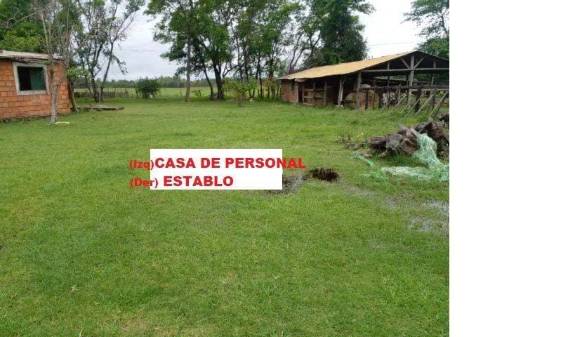 De 24ha costa guasu/benjamin aceval especial ganaderia, foto 5