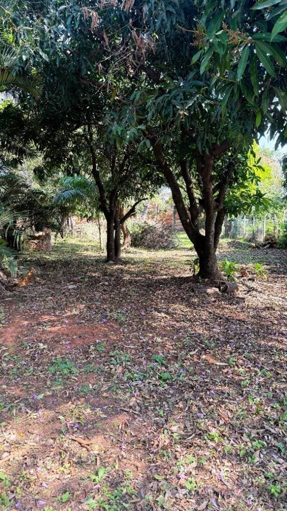 EN VENTA TERRENO EN Luque (Entrada al Barrio Palma Loma), foto 3