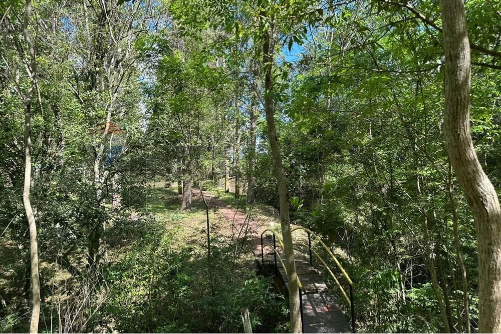 Estancia/Campo - Venta - Tavapy, Alto Paraná, Paraguay — foto 2