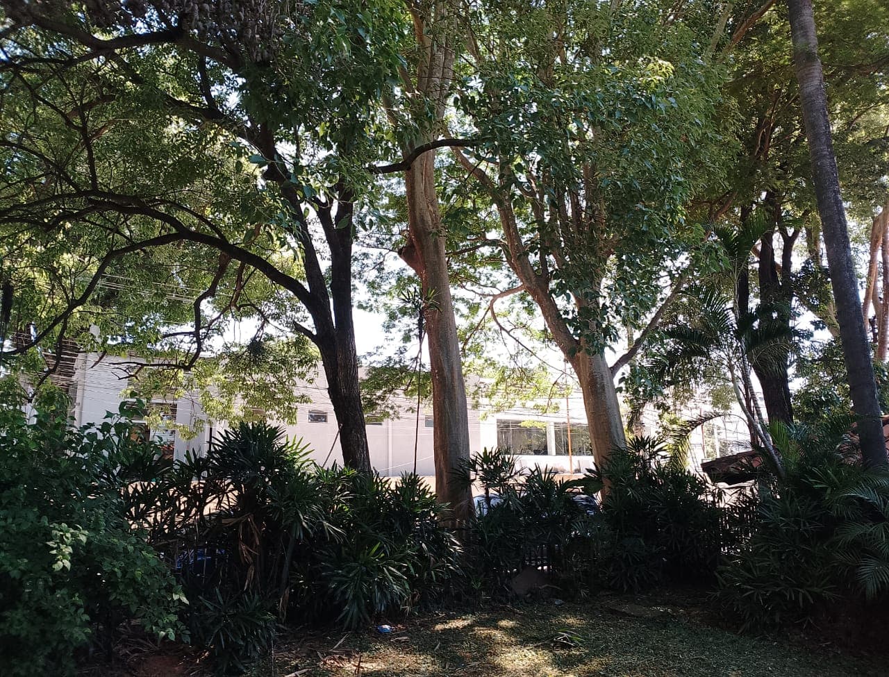 Alquilo casa para uso comercial en Villa Morra