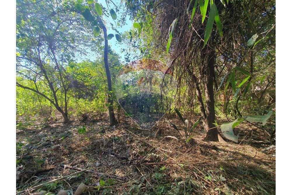 Terreno - Venta - Paraguay Central San Antonio, foto 5