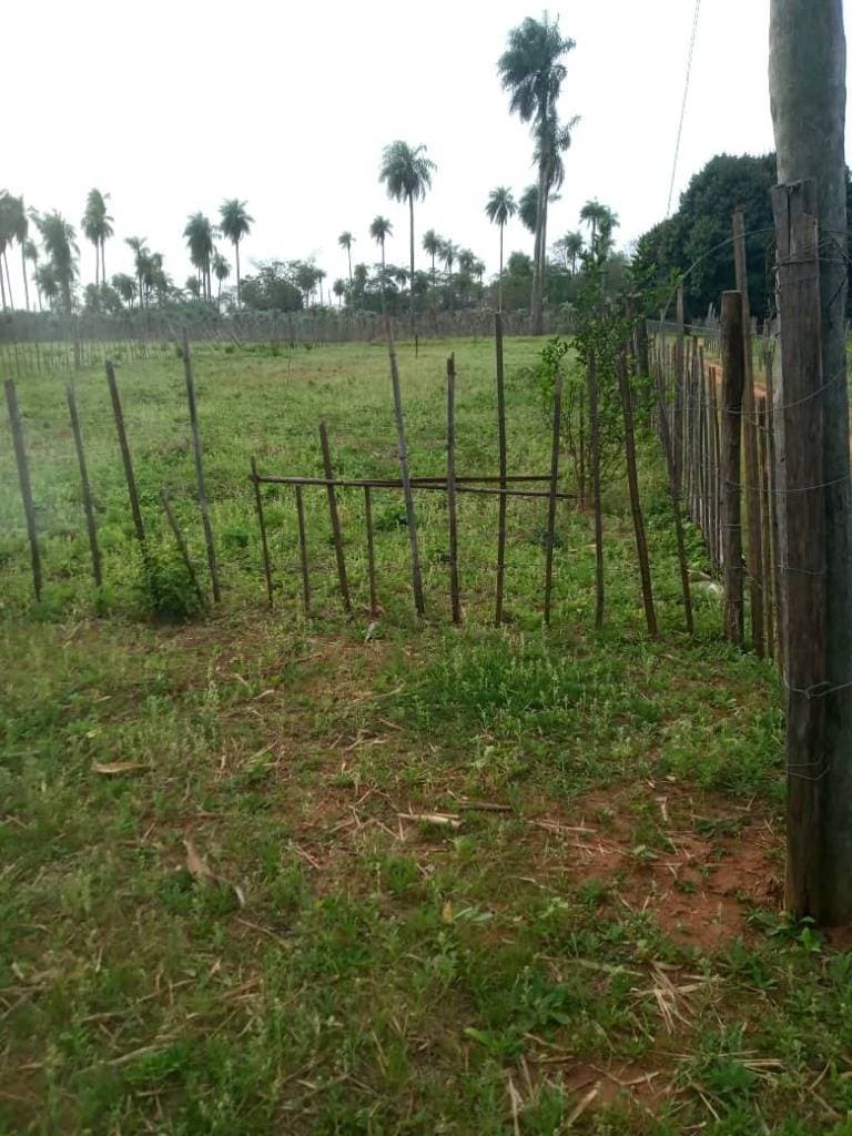 En oferta!! Amplio terreno en cabañas - caacupé, foto 5