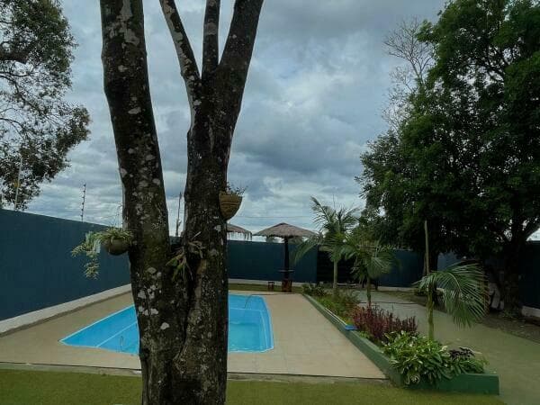 Se vende quinta en hernandarias con rentabilidad inmediata, foto 4