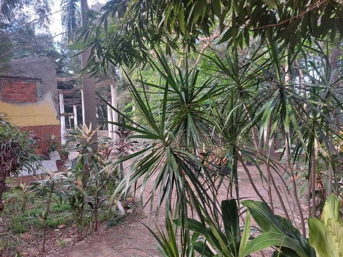Terreno en Ñemby — foto 5