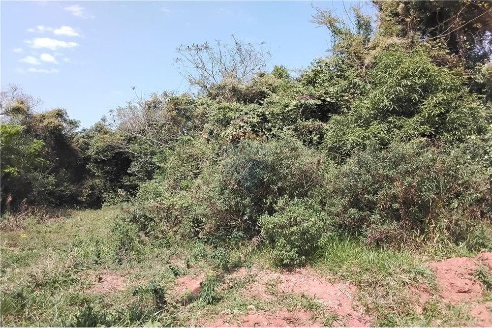 4 hectareas en caacupe cabañas entre cerros, foto 2