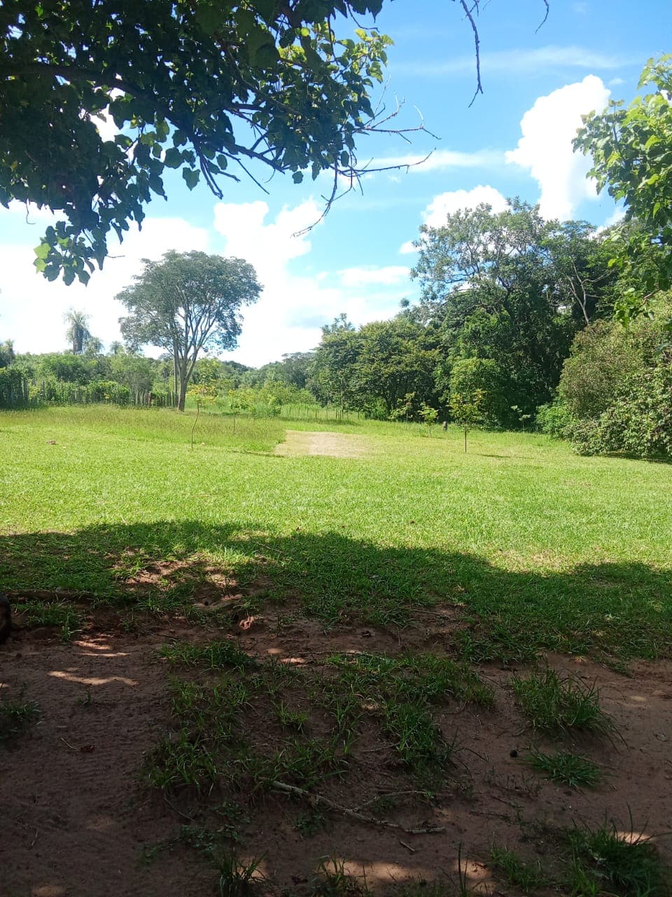 ???? Vendo hermosa propiedad de 16 hectáreas en barrero grande -eusebio ayala, foto 5
