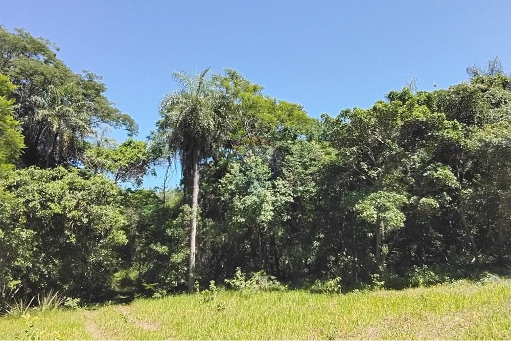 Terreno - Venta - Paraguay Cordillera Atyra, foto 1