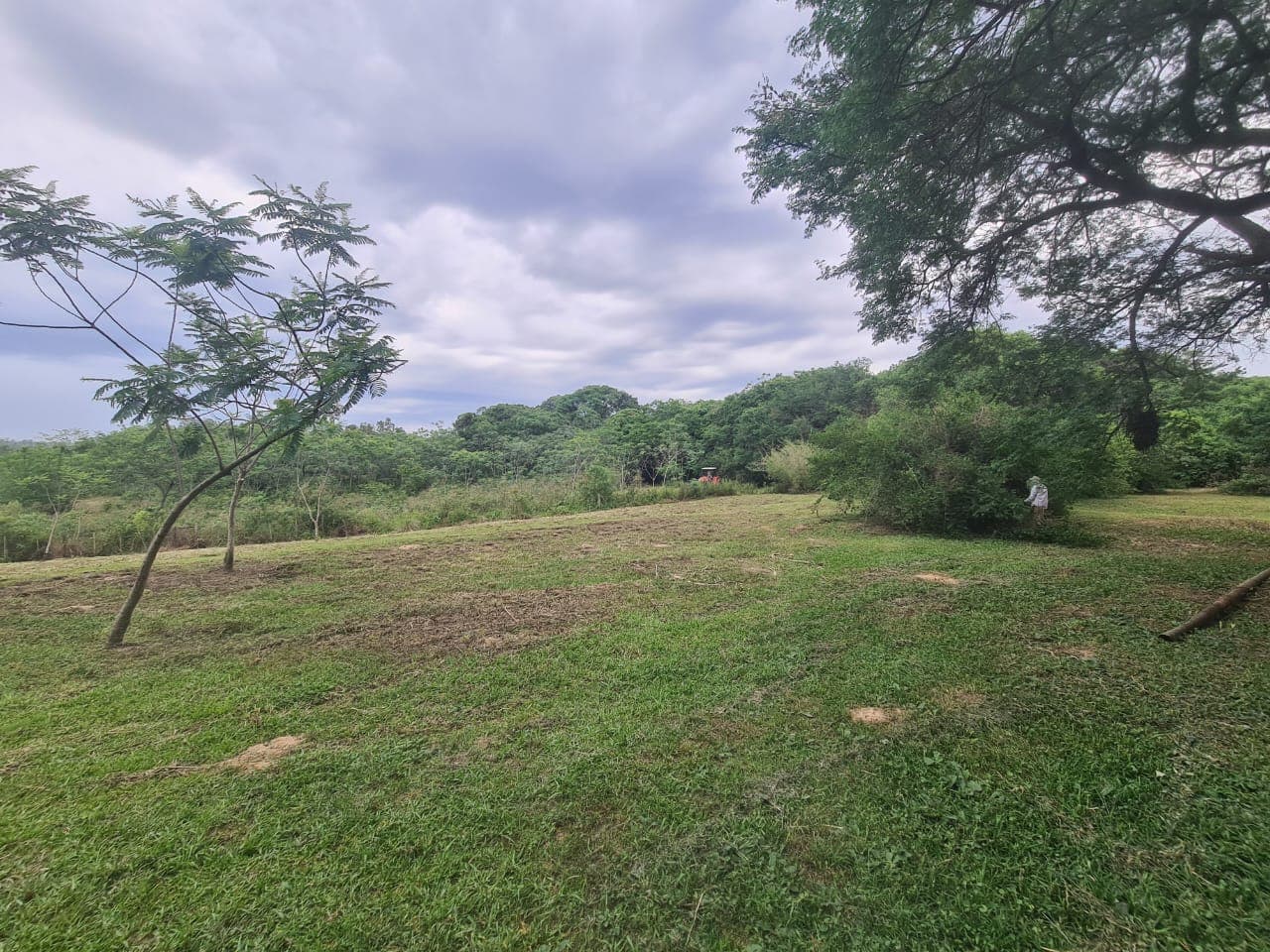 En venta – 2 hectáreas Luque -isla bogado, foto 3