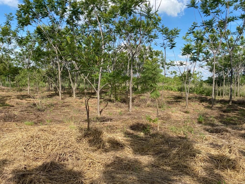 Terrenos en Surubi i, Mariano Roque Alonso-CLHO4946688, foto 3