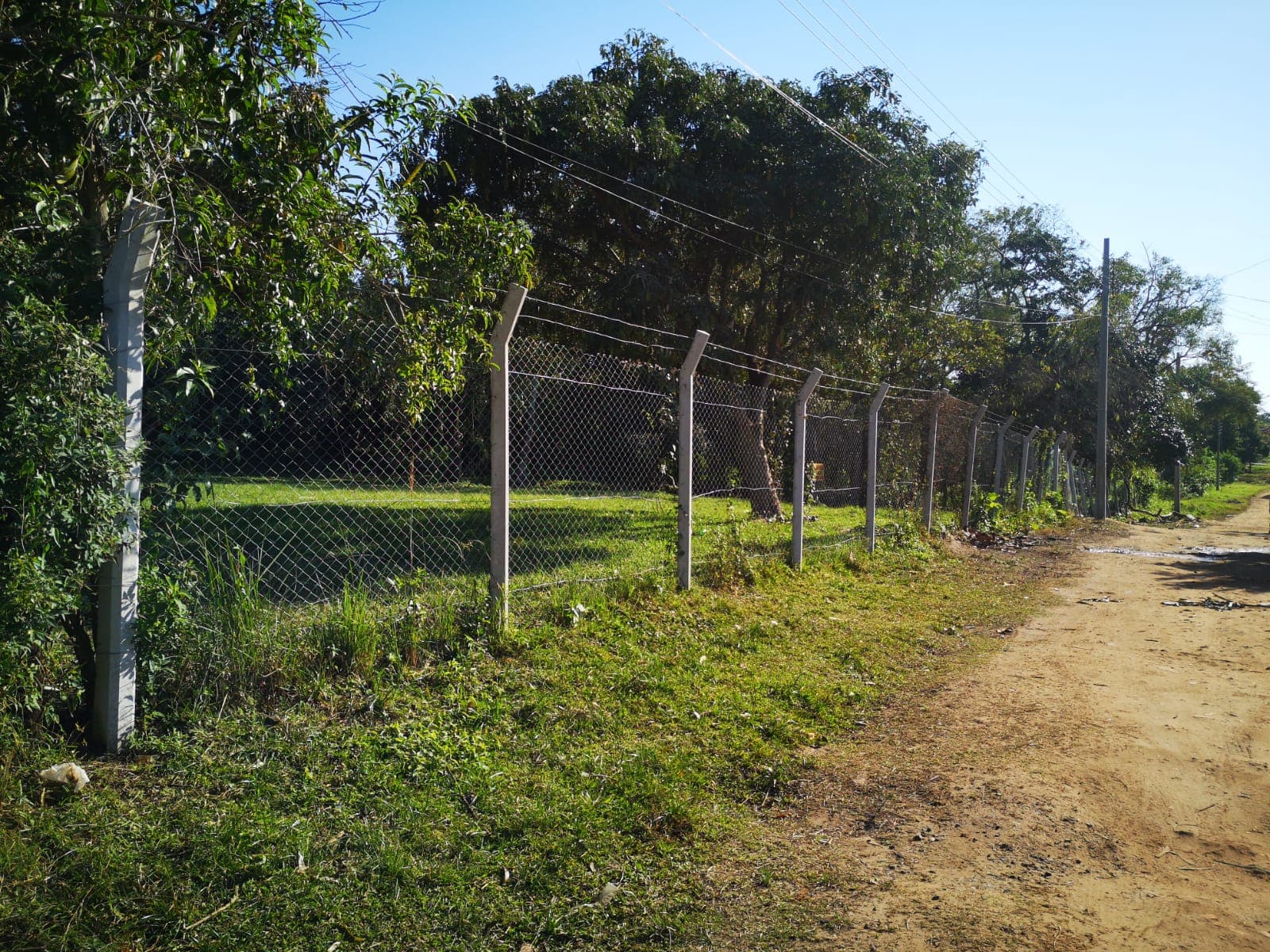 Terreno de 10.000 m2 con Tinglado en San Lorenzo-CLLA5405566, foto 3