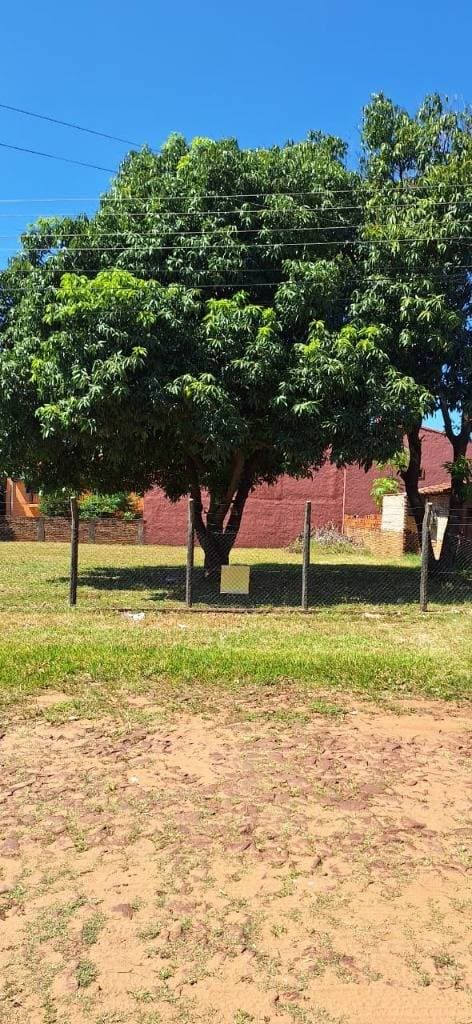 terreno en Barrio Lerida - San Lorenzo, foto 2