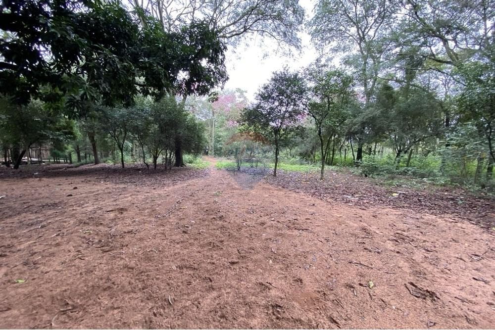 Terreno - Venta - San Bernardino, Paraguay, Inversión!, foto 1