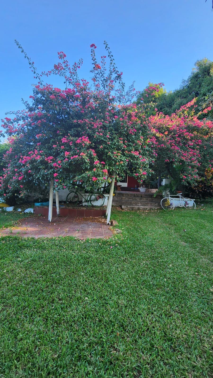 Refugio privado con agua natural — cerca de Asunción — foto 5