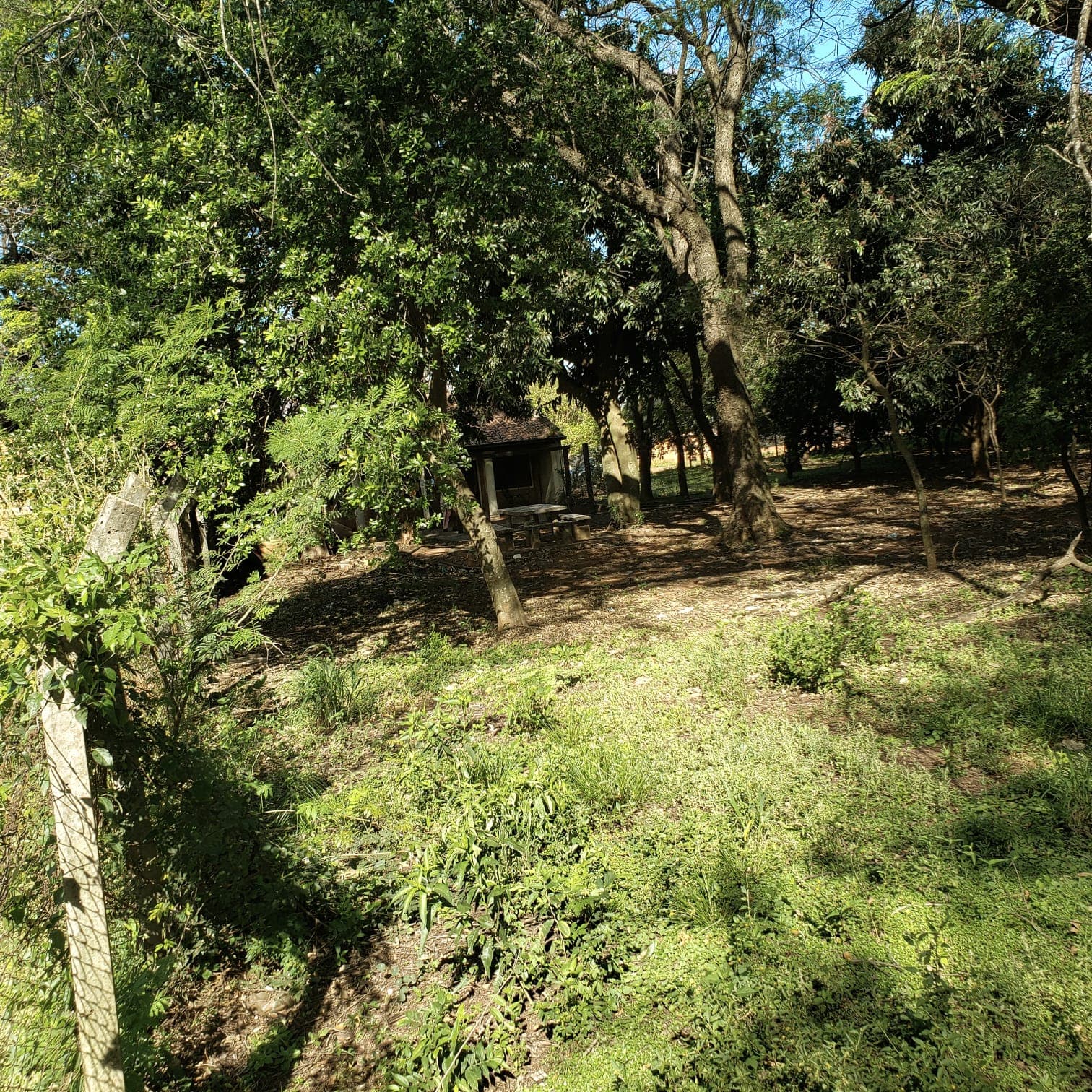 En venta terreno en Capiatá hacia Ruta 1 - de 361m2, foto 4