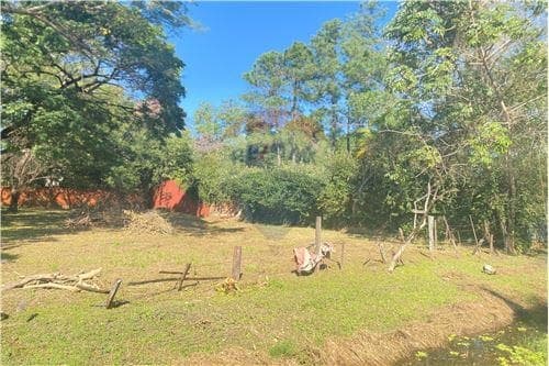 Terreno en venta, San Lorenzo, foto 4