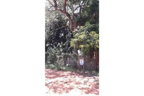 Terreno-Venta-ybyraro, Ybyraro, Ybyraro, Capiata, Central, foto 4