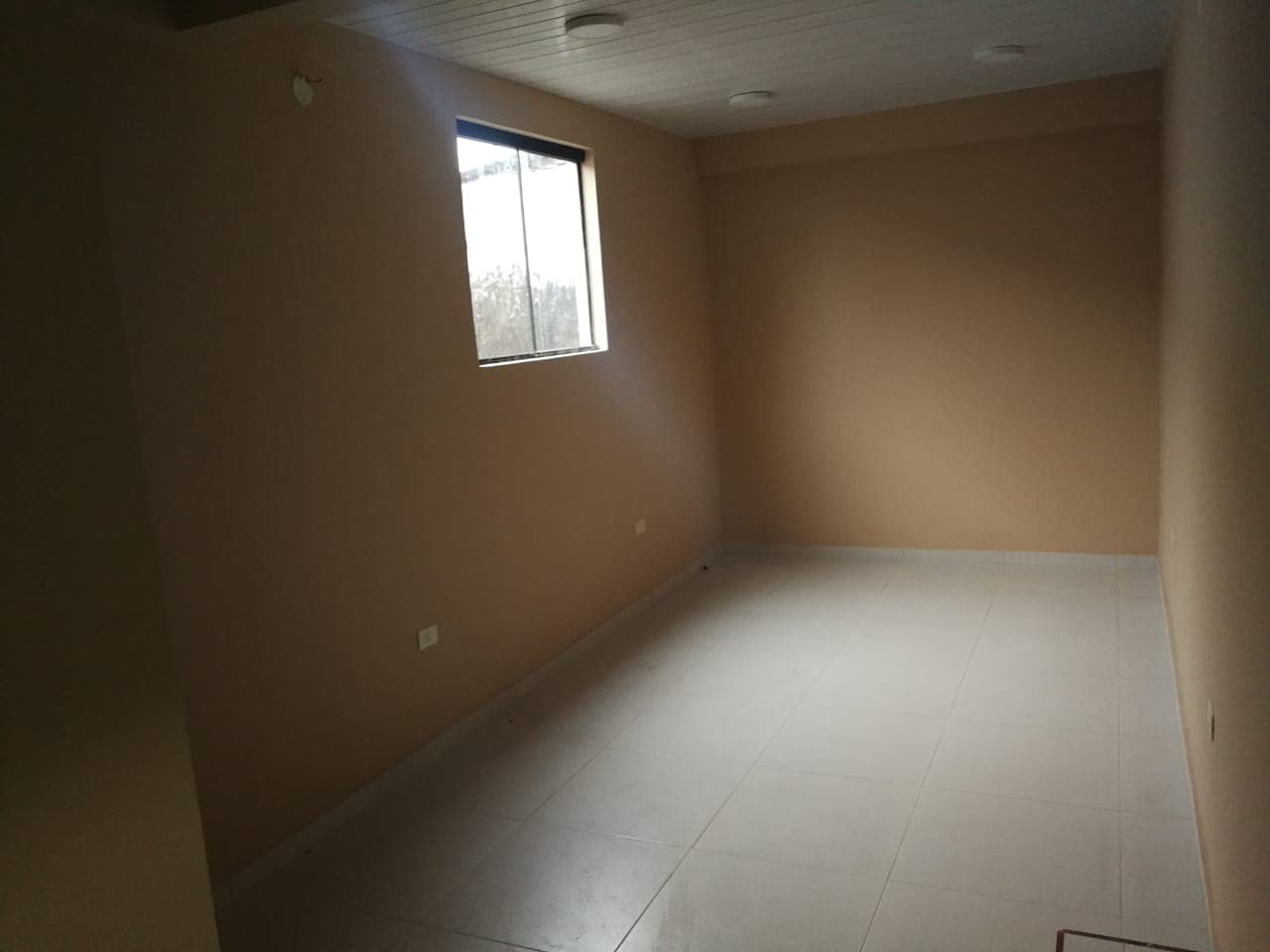 Tierra Inmobiliaria - Alquila Dpto En Sajonia, foto 3