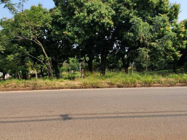 Terreno Zona Ruta Luque - Limpio — foto 3