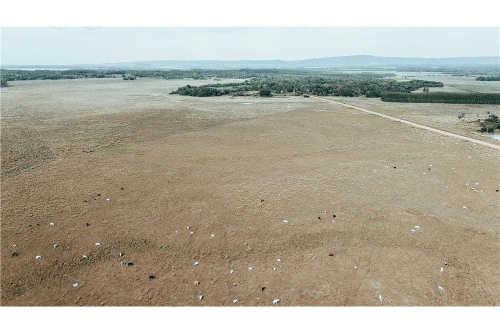 Terreno en paraguari, foto 4