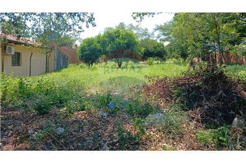 Terreno - Venta - Paraguay Central San Lorenzo, foto 2