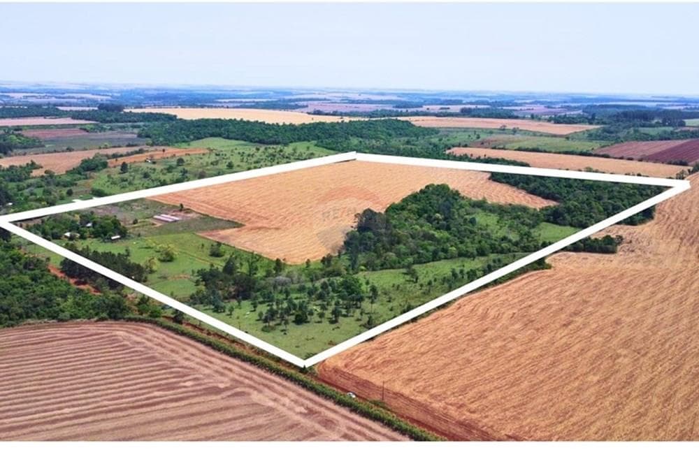 Granja Agrícola - Venta - Paraguay Alto Paraná Minga Guazú
