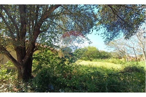 Terreno Ideal en Zona de Crecimiento, foto 4
