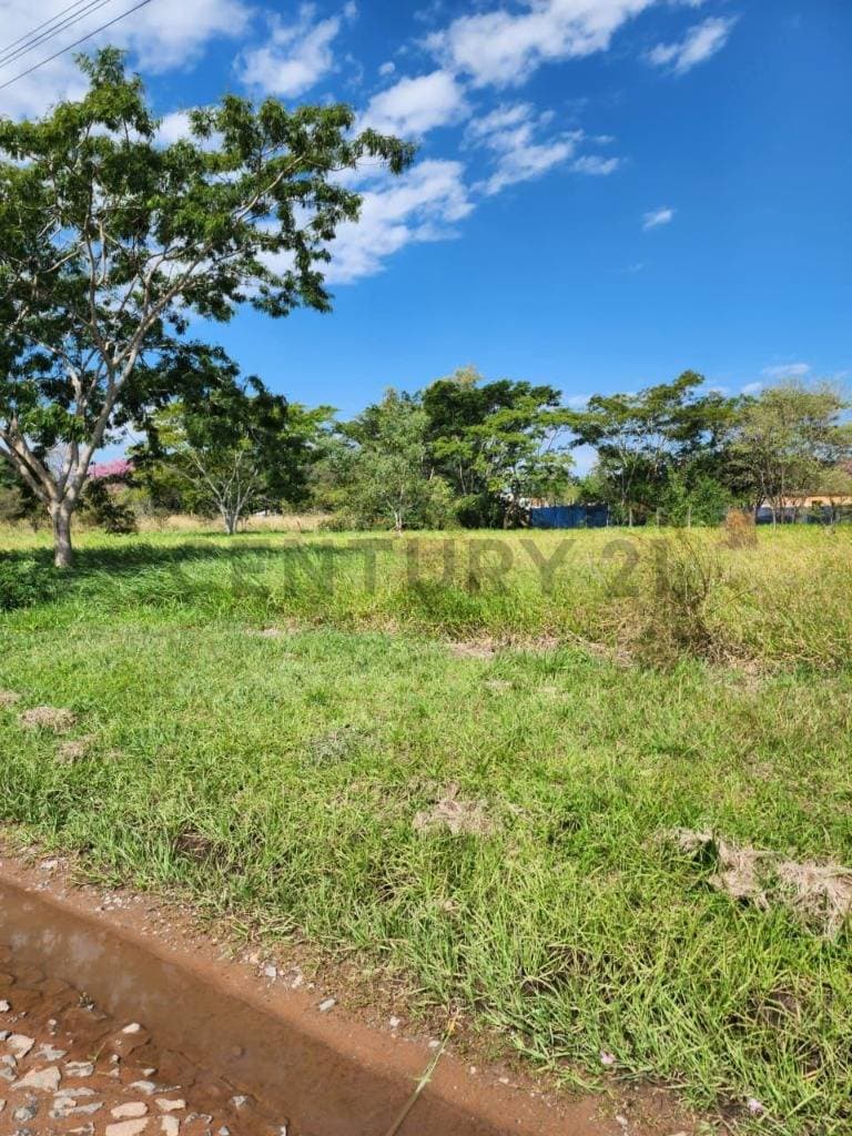 Venta De Terreno En Mariano Roque Alonso, Central