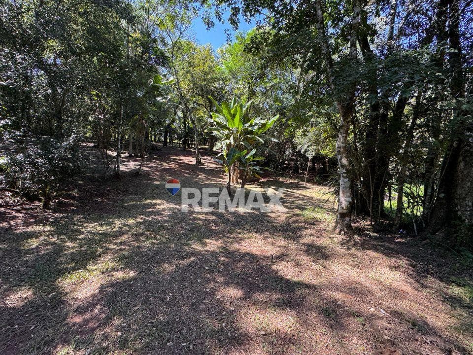 EN VENTA 6.3 HECTÁREAS | Alto potencial de inversión en Alto Paraná, foto 3
