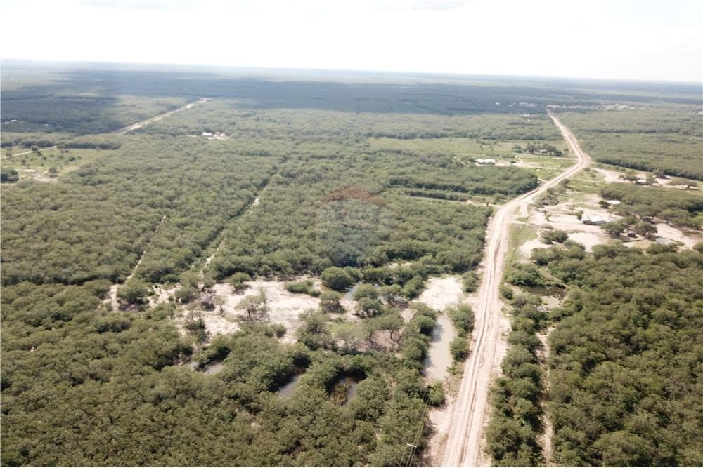 Campo en teniente esteban martinez 184 hectareas, foto 4
