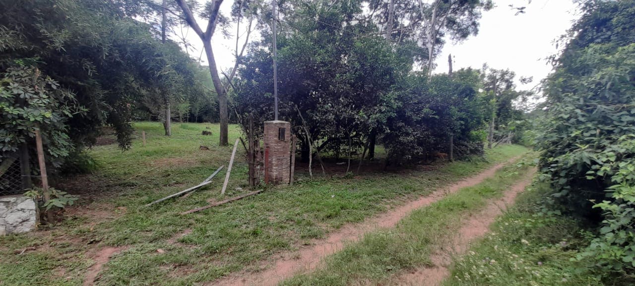 3 terrenos en loma grande, foto 5