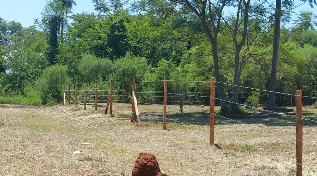 Terreno, foto 3