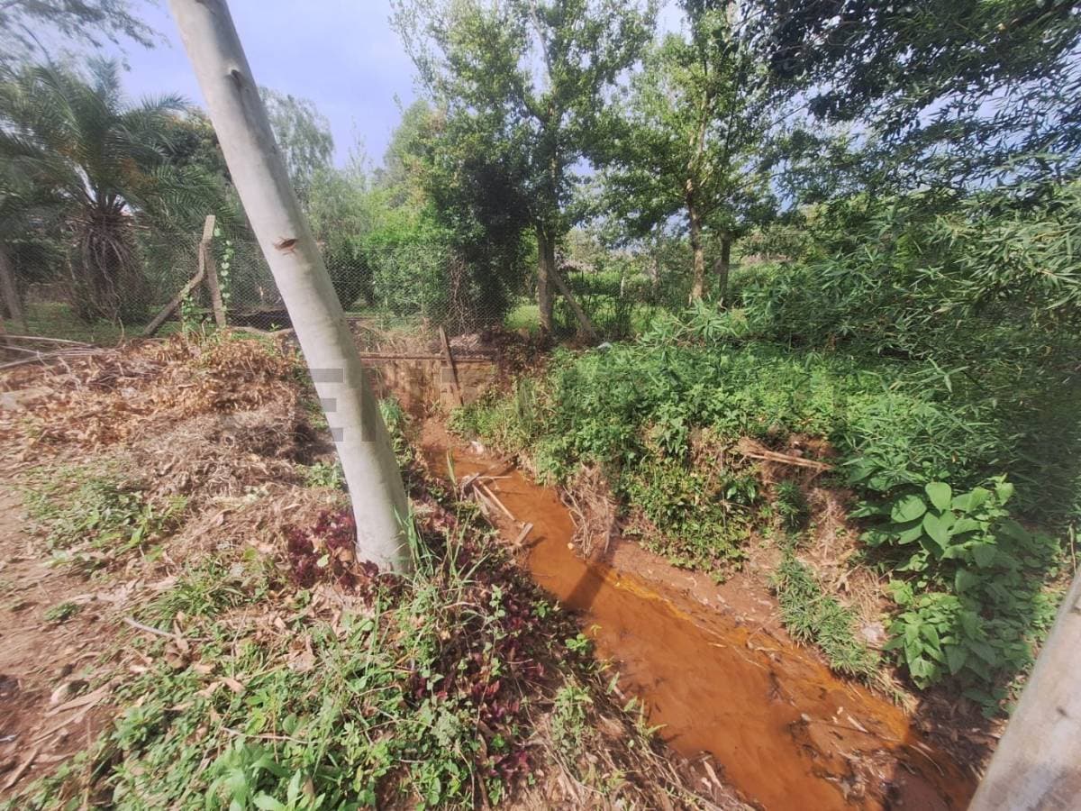 amplio terreno en Caacupe, foto 1