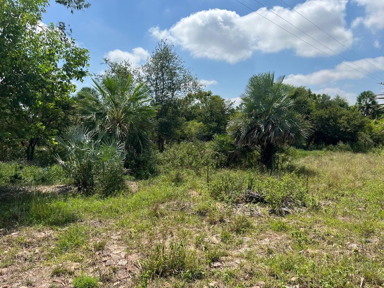 EN VENTA - 1.080 m2 en la Urbanización Costa Azul en Limpio!, foto 2