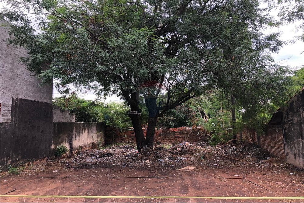 Terreno en San Lorenzo, foto 2