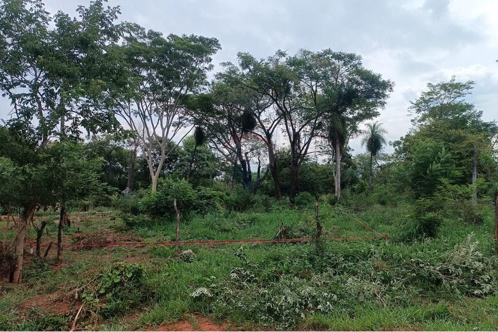Terreno en la ciudad de Luque — foto 5