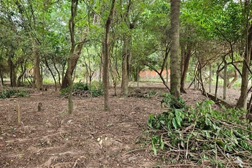 Terreno en San Bernardino, foto 2