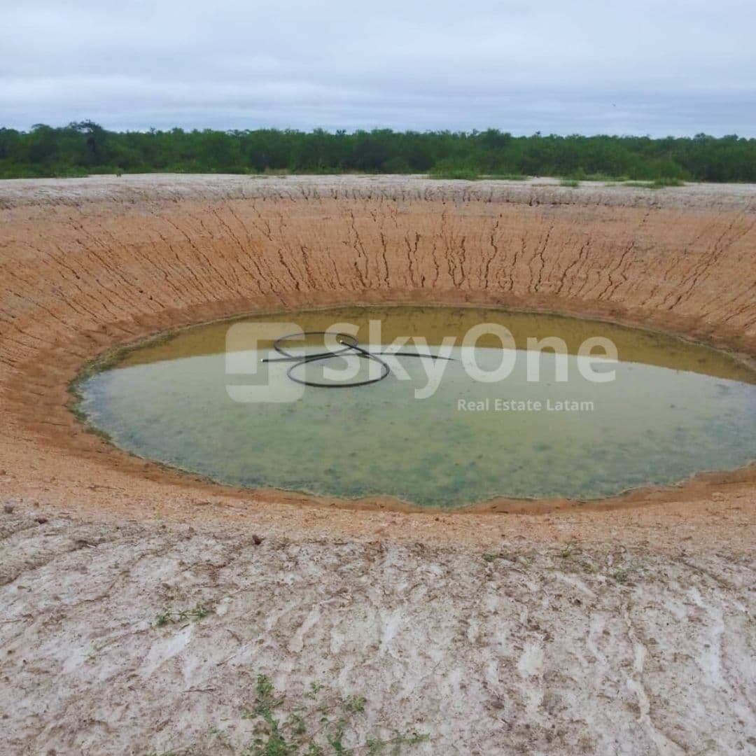 PROPIEDAD EN EL CHACO Dpto. de Alto Paraguay, zona Tte. Martínez — foto 3
