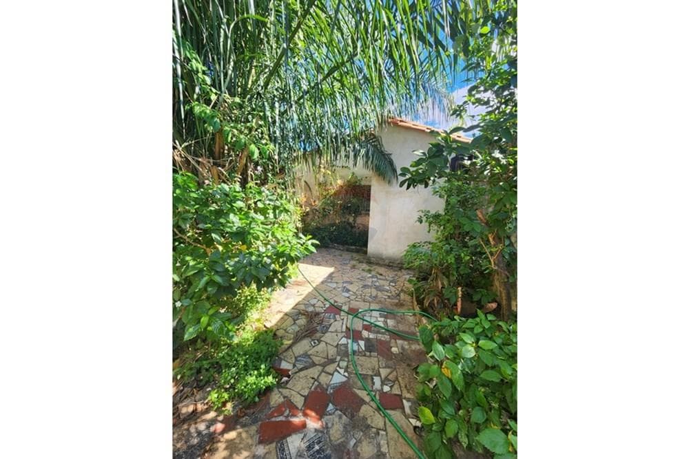 Terreno - Venta - Asunción Los Laureles, foto 2
