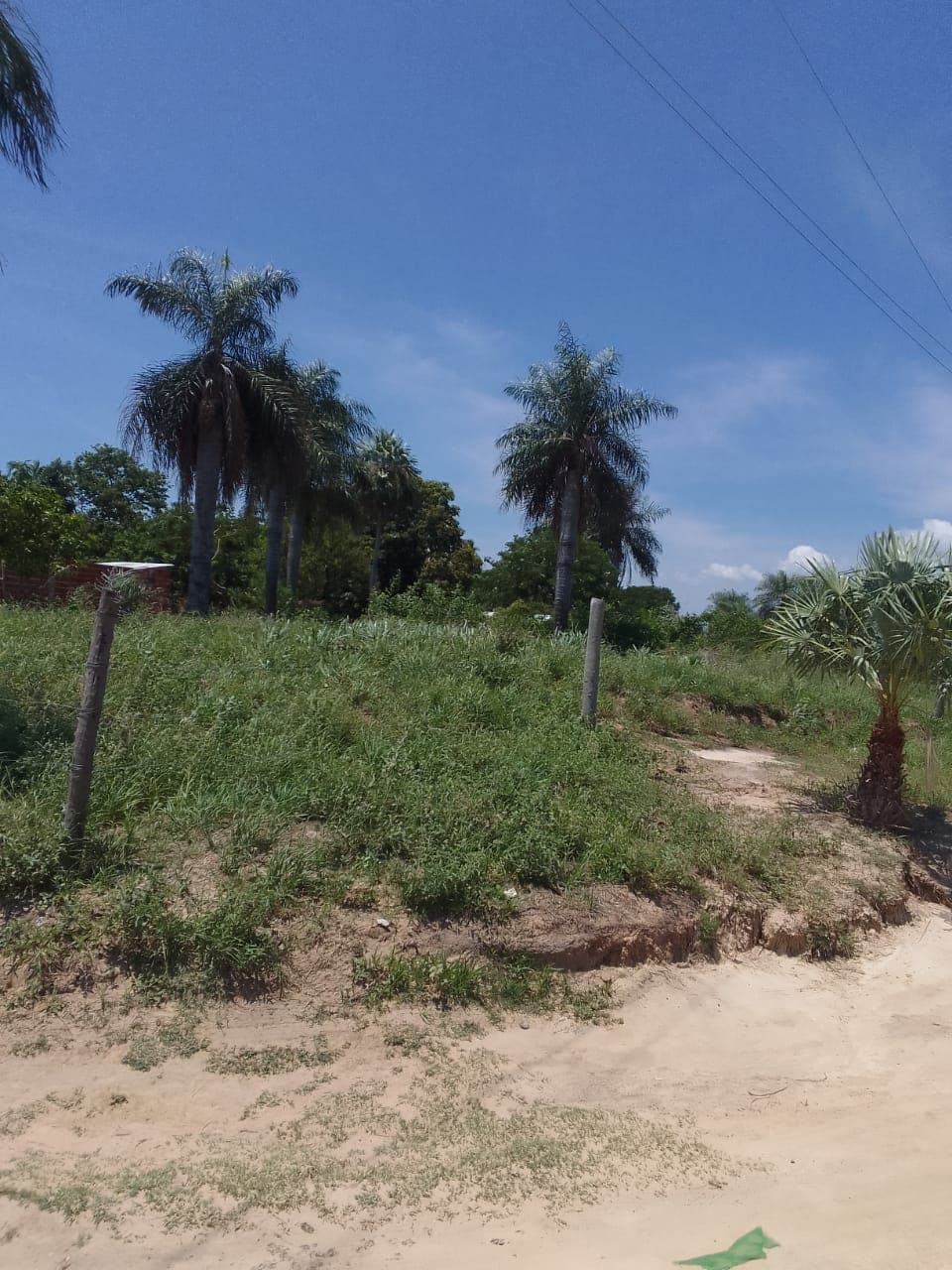 Terreno sobre el rio paraguay — foto 3