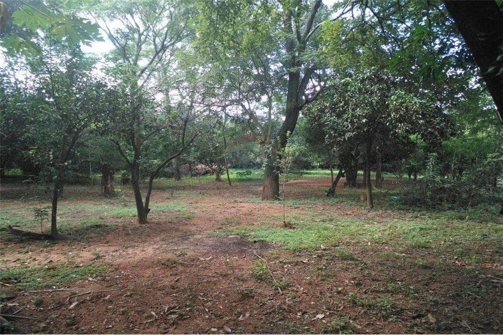 Terreno - Venta - Paraguay Central Limpio, foto 2