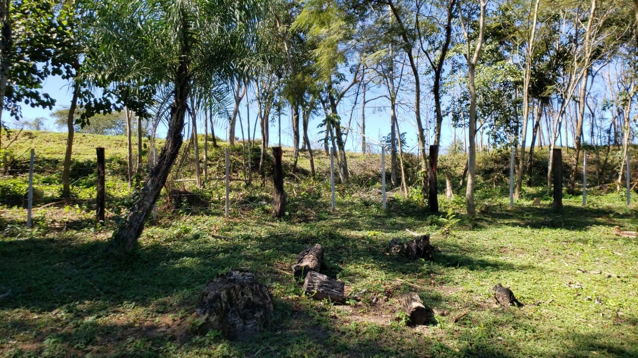 9.3 ha. Sobre ruta 2 en caaguazu km 169, foto 5