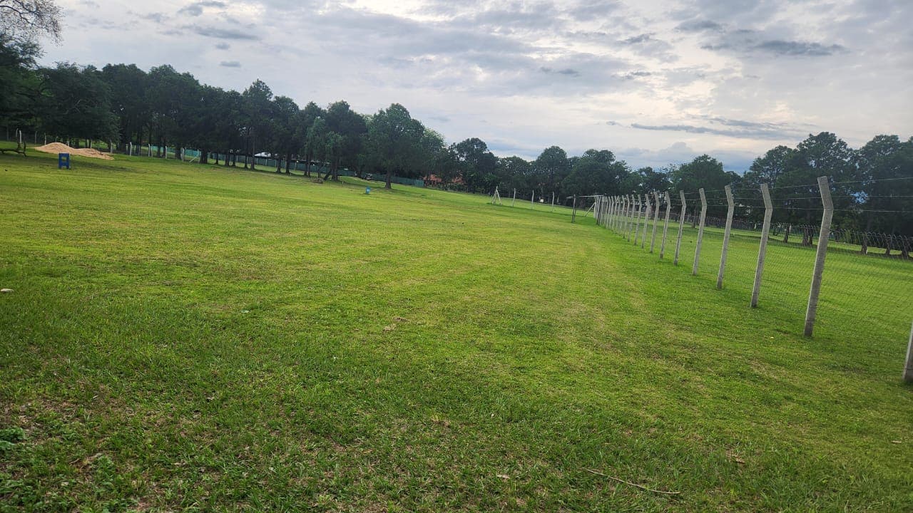 Terreno en lambare, foto 3