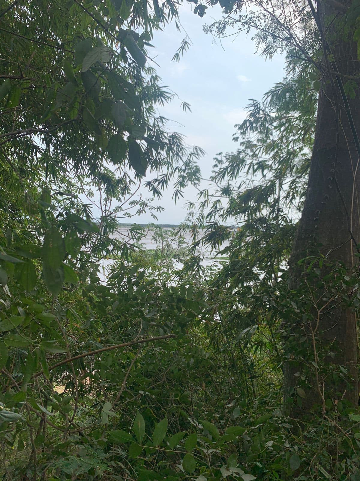Terreno sobre el rio san antonio, foto 4