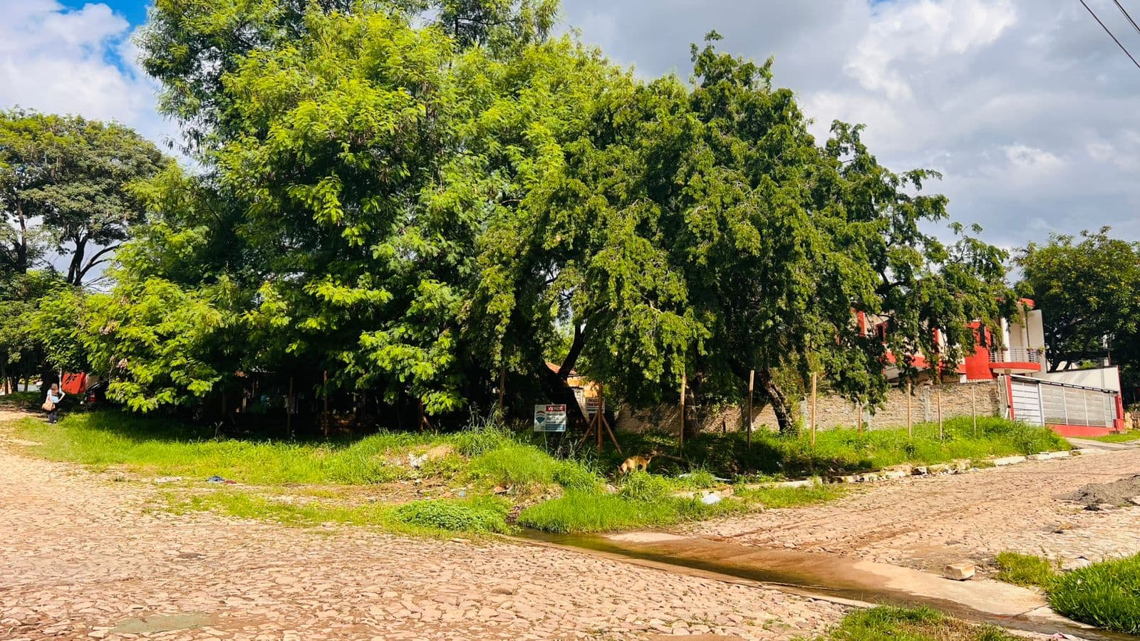 erreno en Loma Pyta, Asunción – Ideal para inversión o desarrollo, foto 4